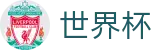 2026世界杯官网专区-点燃足球梦想